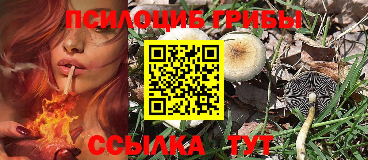 Галлюциногенные грибы прущие грибы  купить наркотики цена  Зеленокумск  Вход с VPN 