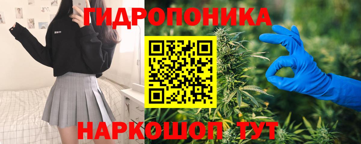 Конопля AK-47  Вход с VPN  Зеленокумск  Бошки Шишки AK-47  Каннабис White Widow 
